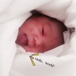 世界。您好！
